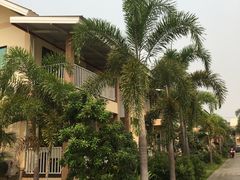 -倒立小屋