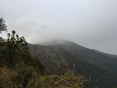-梧桐山风景名胜区