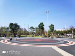-光明港公园