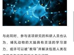-自然之声助听器·呼吸机(翠微大厦店)