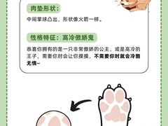 -爱侣宠医·鹦鹉专科·小型哺乳类·异宠专科(灵石路店)