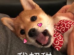 -悠提茶饮(紫峰广场店)