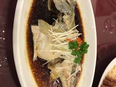 -国华酒楼(右内店)