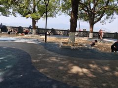 -東茅街茶馆
