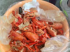 -眼镜哥浦江夜宵大本营