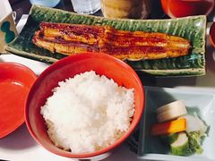 -料亭菊水楼