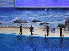 -福州罗源湾海洋世界旅游区