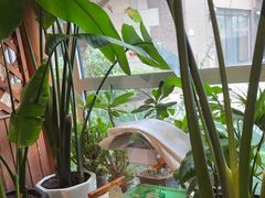 -草原塞蛮羊火锅城(港湾店)