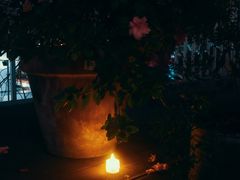 -花·fleur古董西餐厅(西城夜未央店)