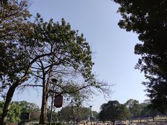-东莞植物园