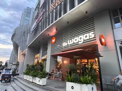 -Wagas沃歌斯(枫蓝国际店)