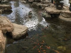 -森谷美食公园(杨行店)