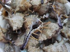 -有间冰室(侨港风情街店)