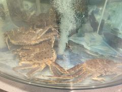 -海底捞大排档火锅(打浦路店)