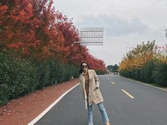 -南京枫彩漫城