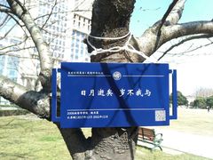 -复旦大学光华楼