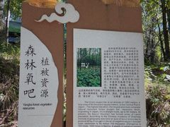 -洛阳白云山景区