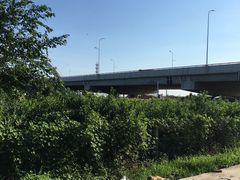 -南汇新场正宗水蜜桃采摘