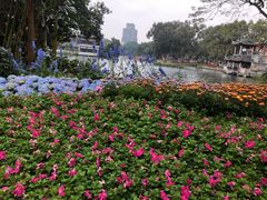 -荔湾湖公园