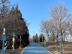 -青龙湖公园