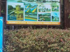 -上海海湾国家森林公园