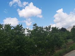 -开封第一楼(洛阳分店)