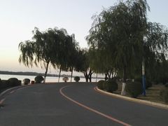 -丁香湖公园
