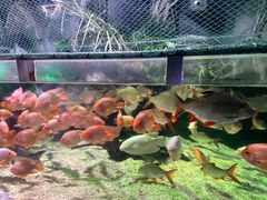 -太平洋海底世界