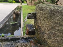 -揭东万竹园旅游景区