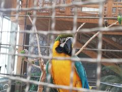 -南宫五洲植物乐园