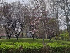 -丰台花园