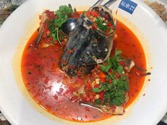 -坛宗剁椒鱼头(河西王府井店)