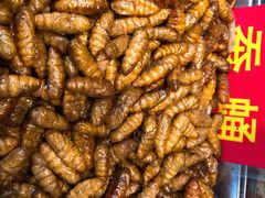 -昆虫窝子·特色云南菜(拓东路总店)
