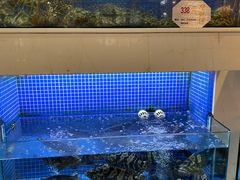 水产区-益利大酒楼(井岸店)