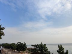 -深圳湾公园(南山区)