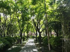 -唐城墙遗址公园