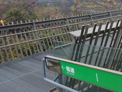 -福道