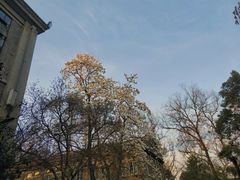 -南京晨光1865创意产业园