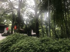 -杭州黄龙洞