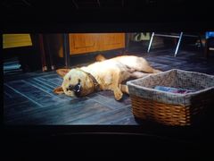 -华美国际影城(旧宫永辉店)