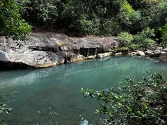 -广州白江湖森林公园