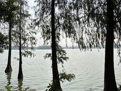 -海珠湖公园