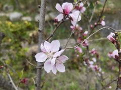 -江苏三台山国家森林公园