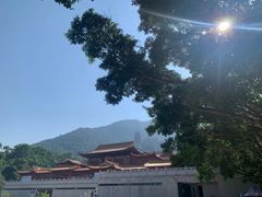 -深圳仙湖植物园