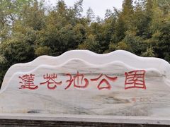 -莲花池公园