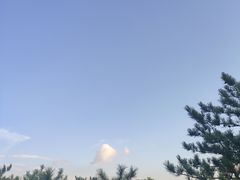 -乌素图国家森林公园