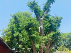-西安市广仁寺