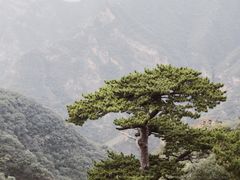 -圣莲山风景区