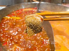 -董眼镜火锅(洪崖洞总店)