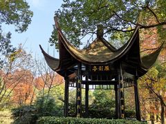 -东湖落雁景区